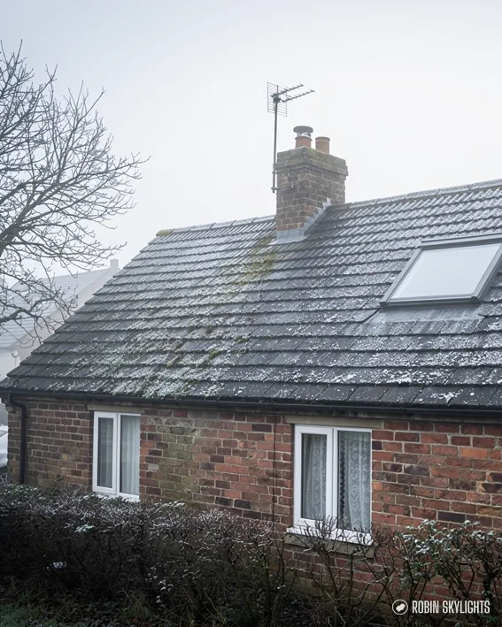 Brick cottage with a slate roof and roof window under bare trees