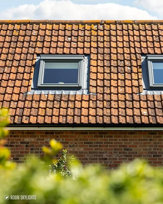 Two roof windows in a clay tile roof above green foliage