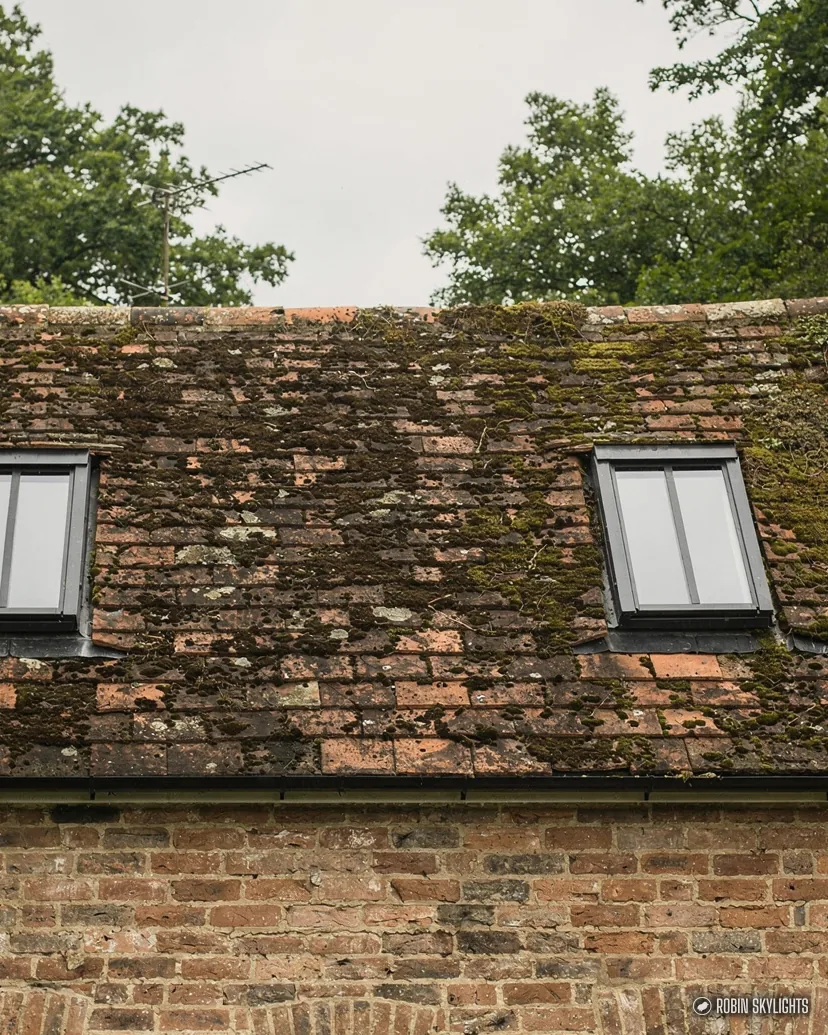 Old brick cottage roof with two small roof windows in moss-covered tiles