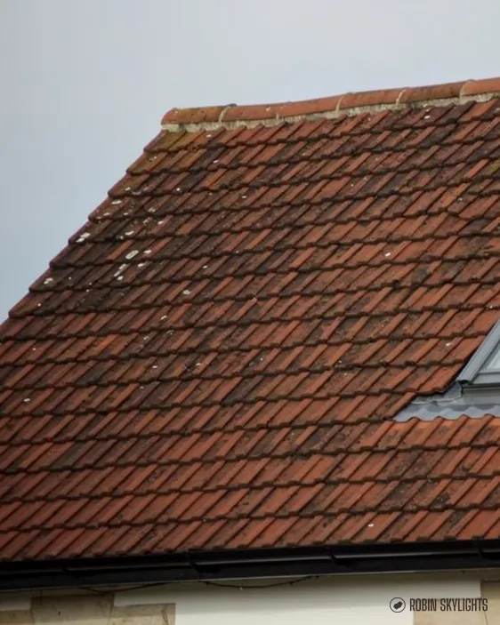 Red clay tile roof with a roof window near the edge